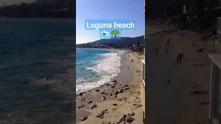 when in Laguna Beach Pacific edge hotel#subscribe #travel #vlogs #beach #beachvibes  #lagunabeach