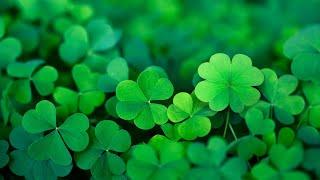 Happy Irish Music – Saint Patrick's Day | Celtic, Cheerful ️