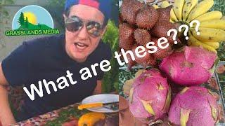 TASTING Exotic Fruits of Thailand [กินผลไม้ไทย]