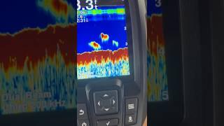 Garmin Striker 4 Fish Finder #bassfishing #sonar #garmin #fishfinder