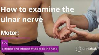 How to examine the ulnar nerve - watch orthohub examinations with UK orthopaedic surgeon, Tom Quick