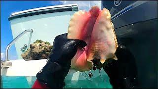 Abaco Bahamas Conch Harvesting and Staying on board a 21 Crooked Pilot House Boat