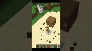 Minecraft TIKTOK HACK