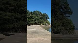 #거제관포항 닭섬.물이빠져서 엊그제 모습이랑은 확연히 다르다.달의 인력으로 물이 빠진다는 우주의섭리가 새삼 너무 신기해.물고기도 뛰고 카누도 타고 ..나는 예쁜 고동껍데기 주웠다.