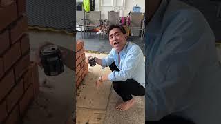 Ku vàng làm thợ hồ hát nhạc chế