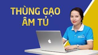 Thùng Gạo Âm Tủ | Bếp iKitchen