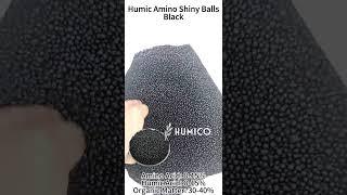 Humic Amino Shiny Balls Black organic fertilizer - From Soil to Harvest | HUMICO China Manufacturer