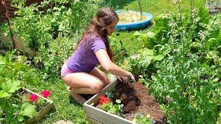 Raised Bed Rotation Planting