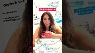 DNA replication in 1 minute #biology #microbiology #science #lab #medicine #nursing #premed