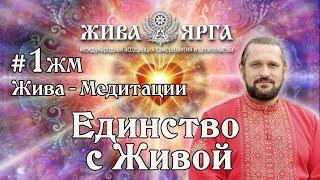 Медитация ЕДИНСТВО С ЖИВОЙ| Очищение, Позитив, Успех| Жива-Медитации #1жм Владимир Куровский