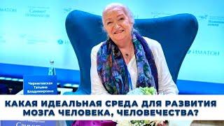 Идеальная среда для развития мозга ребёнка. Татьяна Черниговская