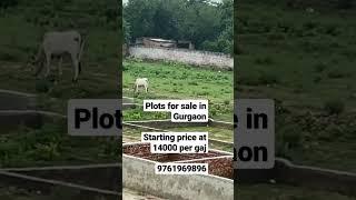 Plots for sale in Gurgaon. Starting price at 14000 per gaj. M:- 9761969896