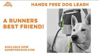 Gone For a Run Hands-Free Dog Leash For Running & Walking