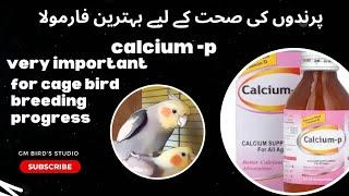 best calcium + vitamin D syrup for birds breeding & health benefits and use | @g.mbirdsStudio