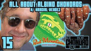 THE ELUSIVE ALBINO GREEN TREE PYTHON | w/Marcial Mendez | The Chondro Lounge Episode #15