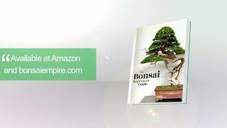 Bonsai: The Beginners Guide