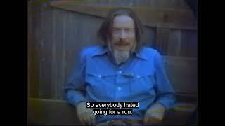 Alan Watts | Lecture on Work & Play | Essential lectures of Alan Watts