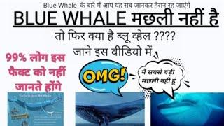 BLUE WHALE मछली नहीं है  | WHY BLUE WHALE  IS NOT A FISH #shorts#short