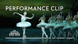 Swan Lake with Olga Smirnova, Constantine Allen and Corps de Ballet | Dutch National Ballet