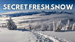 Revelstoke Mountain's BEST Ski Spots