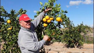 My father-in-law shows us the garden at Christmas