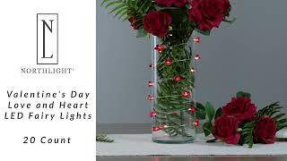 20-Count Red Valentine's Day Love and Heart LED Fairy Lights | Northlight YE94539 | Northlight