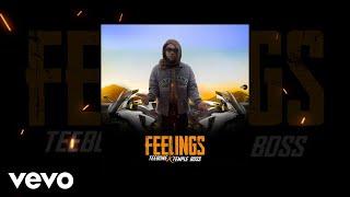 Teebone - Feelings ft. Templeboss