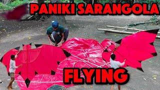Pabalat ng paniki sarangola at palipad