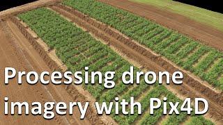 How to process RGB and multispectral drone imagery in Pix4D (Drones in agriculture series, 2/7)