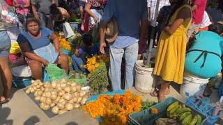 TEMPORADA DE JICAMAS (YAM BEAN) EN LOS MERCADOS DE GUERRERO, MÉXICO. 