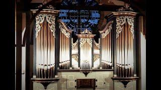 J.S. Bach's Fantasia in G minor - played on the Noack "Bach Organ"