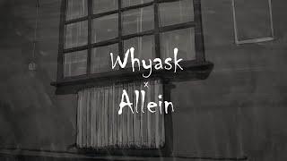 WhyAsk! - Allein