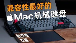 完美适配Mac的无线机械键盘组合｜Mac键盘选购 | 4K #键盘 #mac