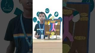 VVPS | Human Kidney by Grade V Student |  #vvps #education #humankidney #knowledge #science #biology
