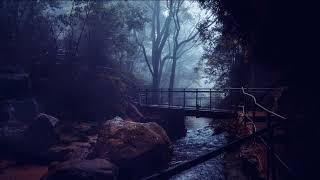 RAIN SOUNDS For Sleeping - Owl At NIGHT FOREST  With Calm Quiet Piano Music