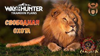 ⭐ СВОБОДНАЯ ОХОТА ⭐ Tikamoon Plains АФРИКА⭐ Way of the Hunter ⭐ ПУТЬ ОХОТНИКА