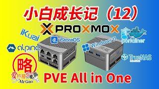 【小白成长记12】PVE All in one AIO iKuai/iStoreOS LXC Alpine Docker  Windows11核显直通显示输出 TrueNAS Jellyfin硬解转码