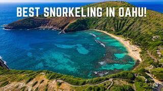 Everything You Need to Know About Hanauma Bay | Oahu, Hawaii