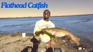 Flathead Catfish Fight!! Mississippi River!!!
