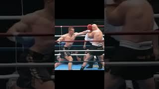 The Devastating Kicks of Mirko "Cro Cop" Filipović | MMA Highlights