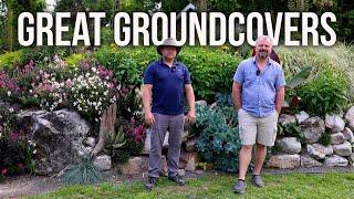 10 Great Groundcovers for your Garden