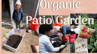 Starting an Organic Container Patio Garden in an Apartment| StayForeverTrue