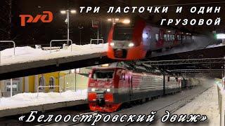 Три скоростных «Ласточки» и один грузовой поезд за 1 час | Белоостров.