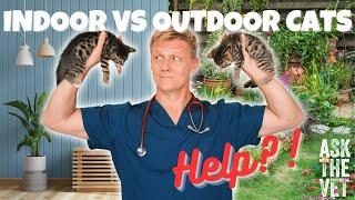 Should I have an indoor or outdoor cat? | ASK THE VET with Dr Scott Miller