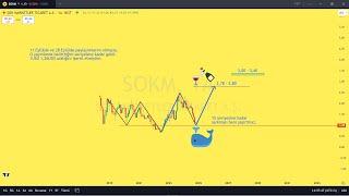 SOKM Hisse yorumu - Hisse toplama bölgesinde! #sokm #şokmarket Şok Marketler Ticaret A.Ş.