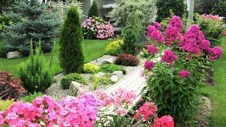 Отличные примеры благоустройства и озеленения частного двора / Examples of beautiful gardens