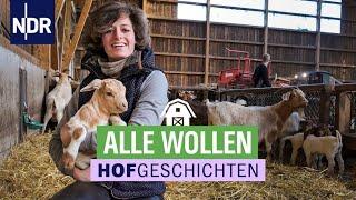 Unsere Lieblinge aus den Hofgeschichten | Die Nordreportage | NDR