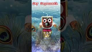 He Sakara Bramha.Jay Jagannath