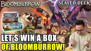 Let's Win Some Boxes Of Bloomburrow! | Arena Direct Win-A-Box | Bloomburrow Sealed Deck | MTG Arena