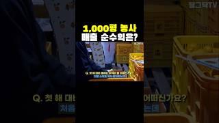 1,000평 농사 매출 순수익은?